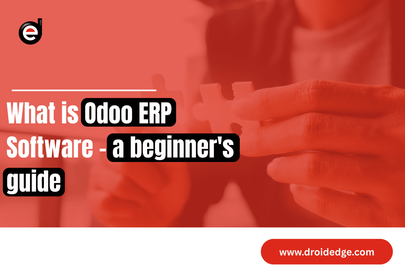 What is Odoo ERP Software - a beginner's guide